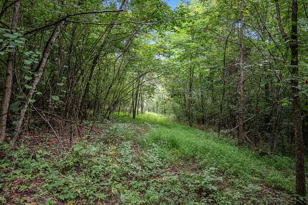4.77 Acres of Residential Land for Sale in Shelbyville, Tennessee