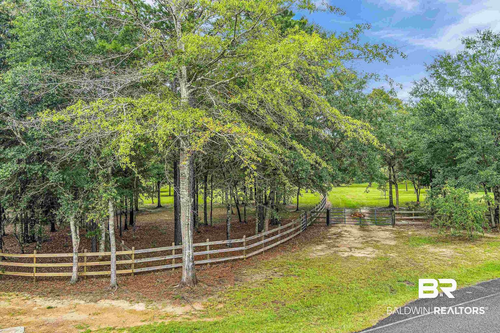 20 Acres of Agricultural & Residential Land for Sale in Stapleton, Alabama
