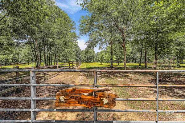 20 Acres of Agricultural & Residential Land for Sale in Stapleton, Alabama