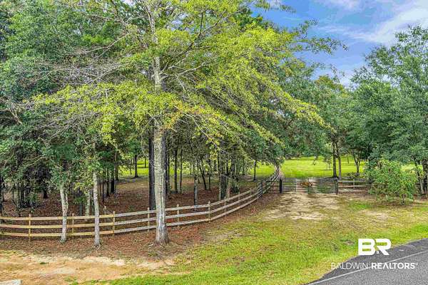 20 Acres of Agricultural & Residential Land for Sale in Stapleton, Alabama