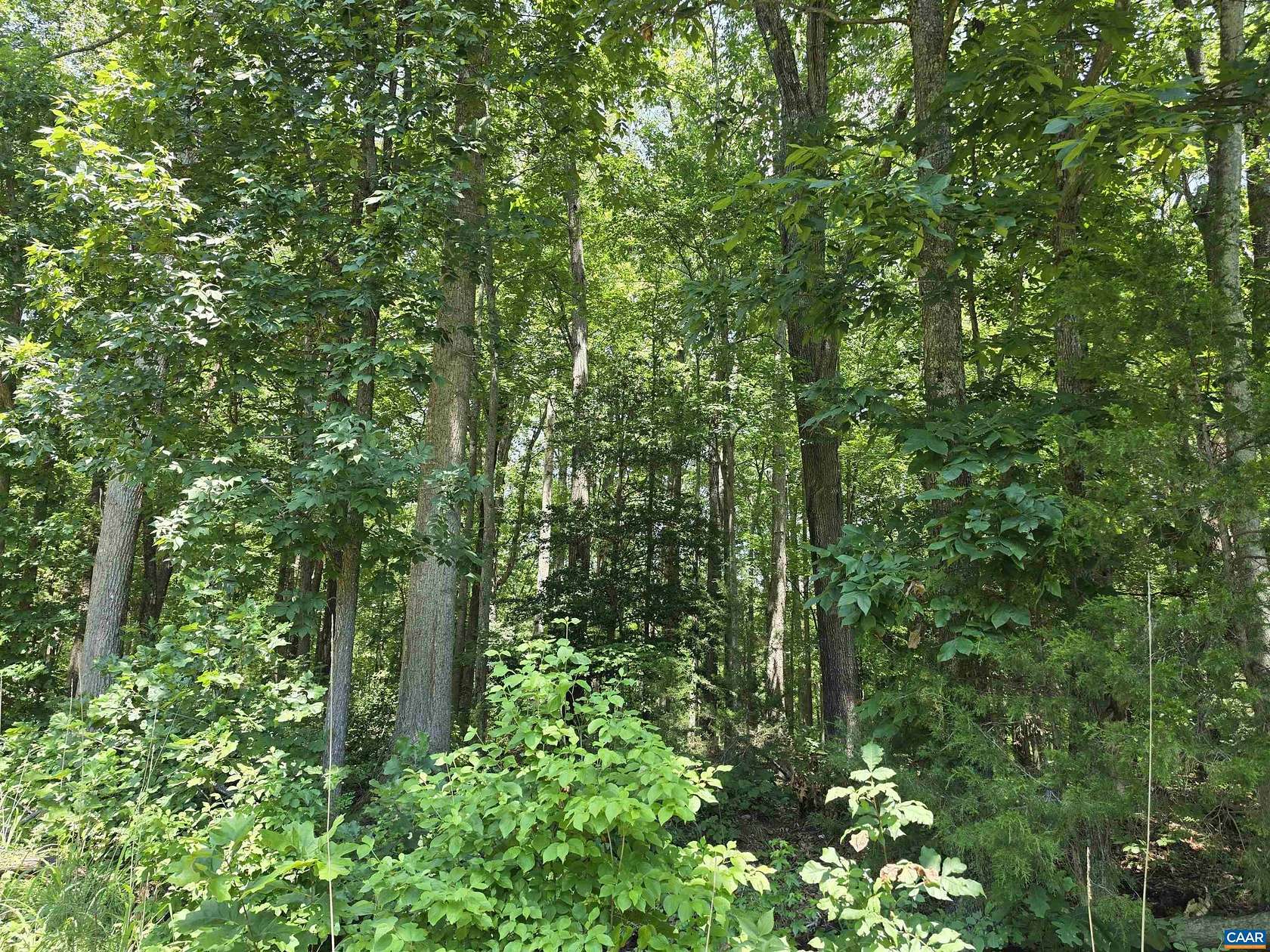 15.2 Acres of Land for Sale in Columbia, Virginia