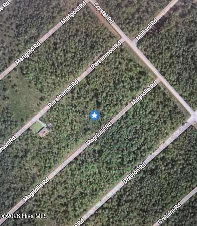 0.24 Acres of Land for Sale in Boiling Spring Lakes, North Carolina