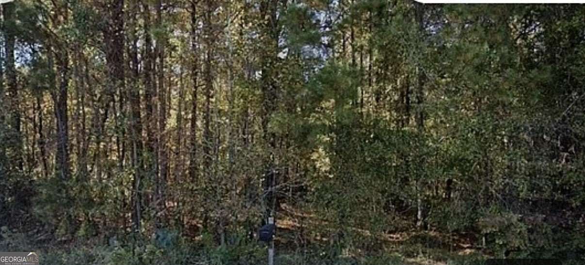 5 Acres of Residential Land for Sale in Lizella, Georgia