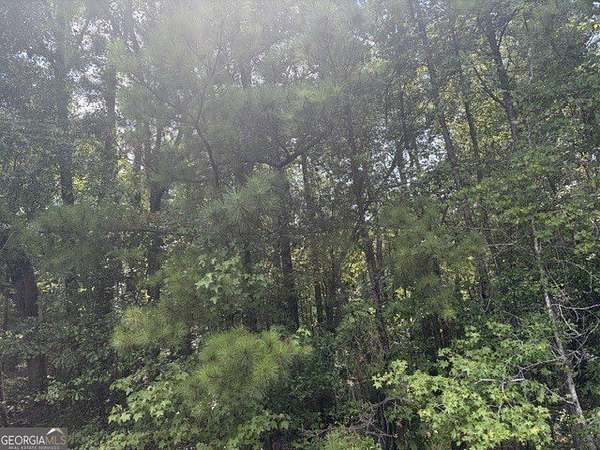 4.12 Acres of Residential Land for Sale in Lizella, Georgia