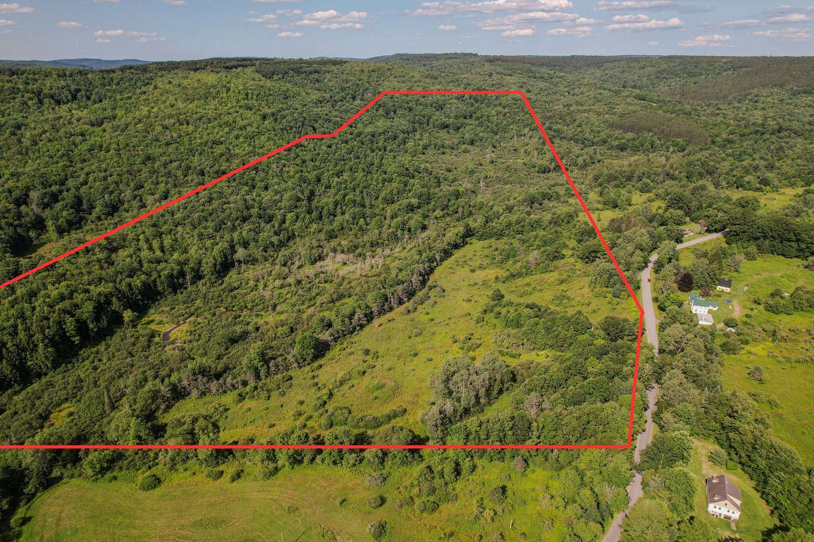 69.1 Acres of Recreational & Residential Land for Sale in Jefferson, New York