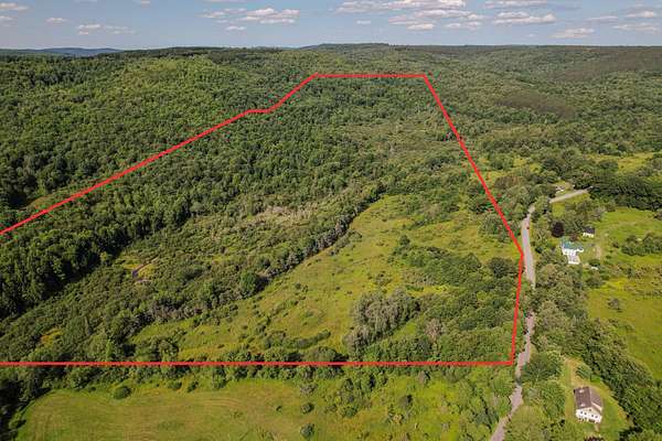 69.1 Acres of Recreational & Residential Land for Sale in Jefferson, New York