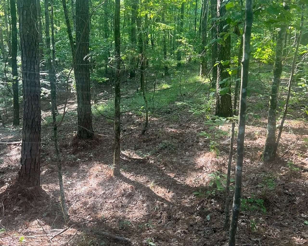 159 Acres of Recreational Land for Sale in Ethel, Mississippi