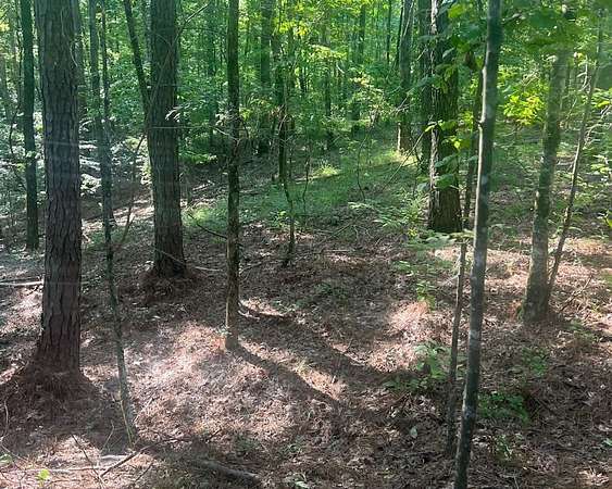 159 Acres of Recreational Land for Sale in Ethel, Mississippi