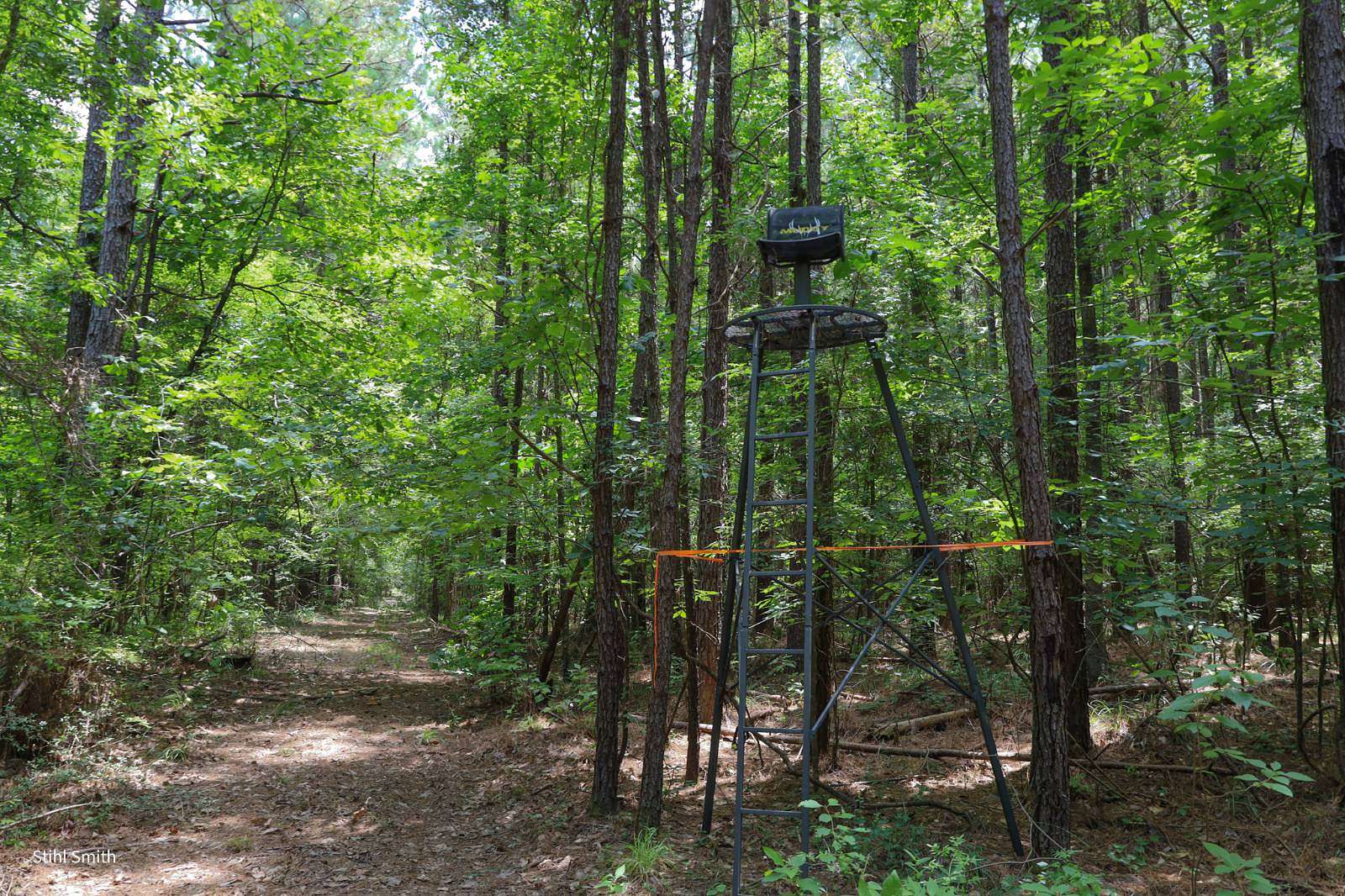40 Acres of Recreational Land for Sale in Olla, Louisiana