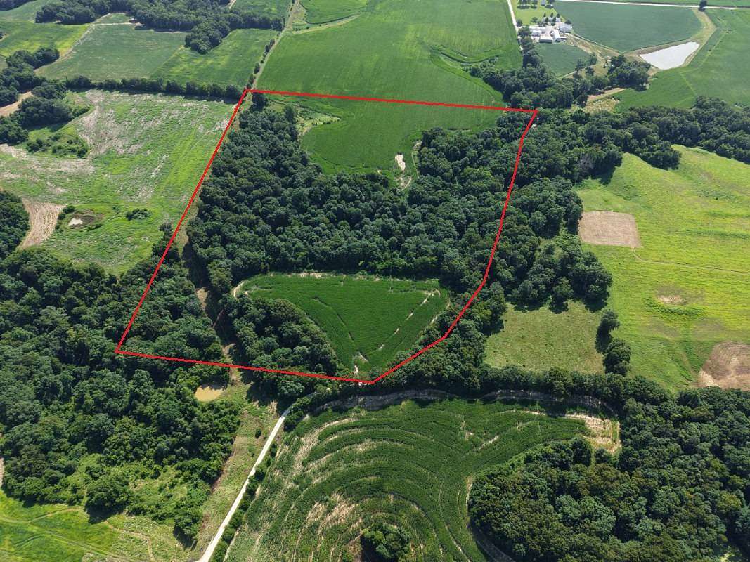 34 Acres of Land for Sale in Pearl, Illinois