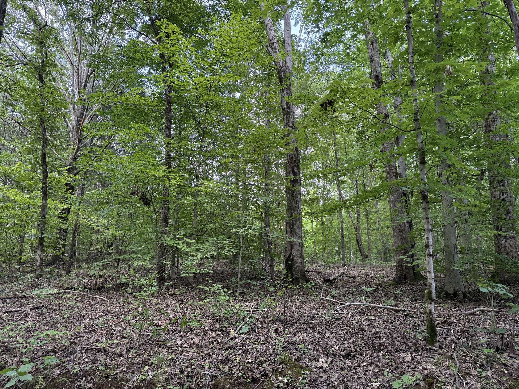 5 Acres of Residential Land for Sale in Stewart, Tennessee