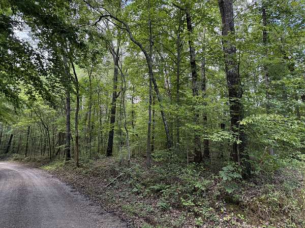 5 Acres of Residential Land for Sale in Stewart, Tennessee