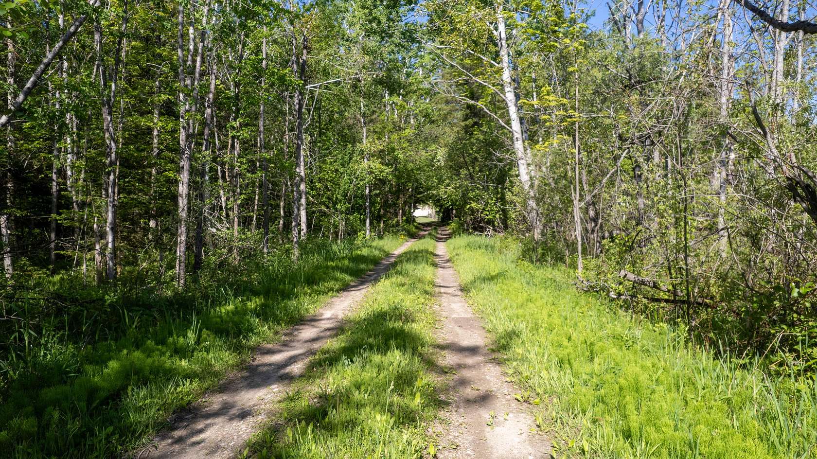 79.3 Acres of Recreational Land for Sale in Cheboygan, Michigan