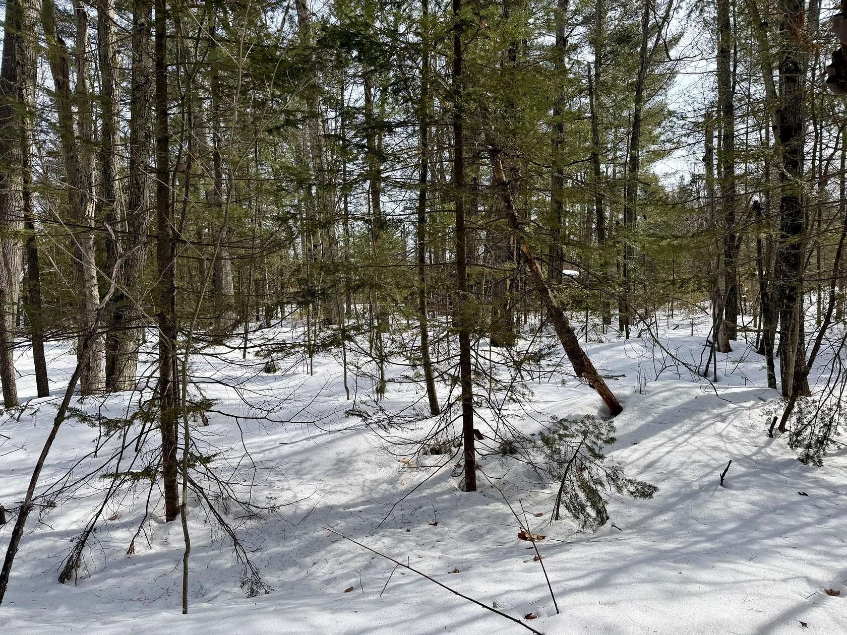 0.41 Acres of Residential Land for Sale in Cheboygan, Michigan
