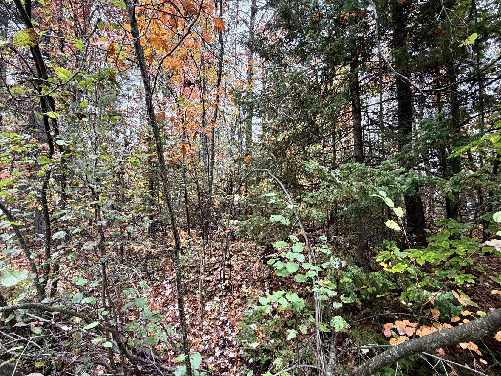 0.41 Acres of Residential Land for Sale in Cheboygan, Michigan