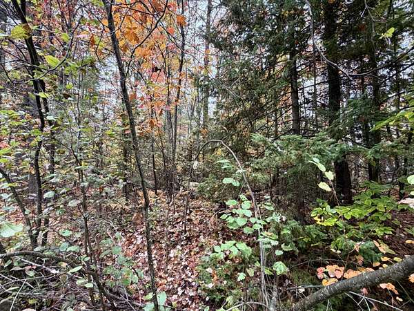 0.41 Acres of Residential Land for Sale in Cheboygan, Michigan