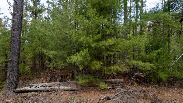 10 Acres of Land for Sale in Brutus, Michigan