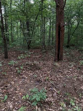 5.15 Acres of Residential Land for Sale in Smyrna, South Carolina