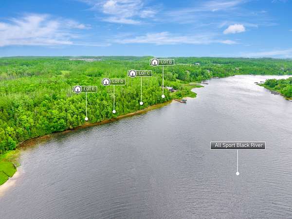 Residential Land for Sale in Cheboygan, Michigan