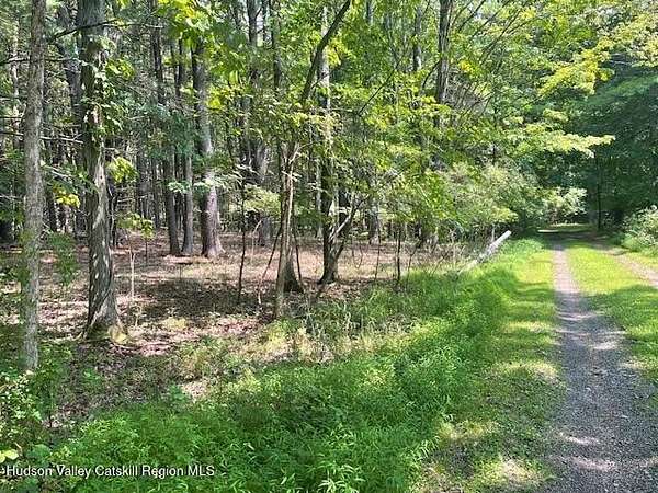 6.6 Acres of Land for Sale in Cairo, New York