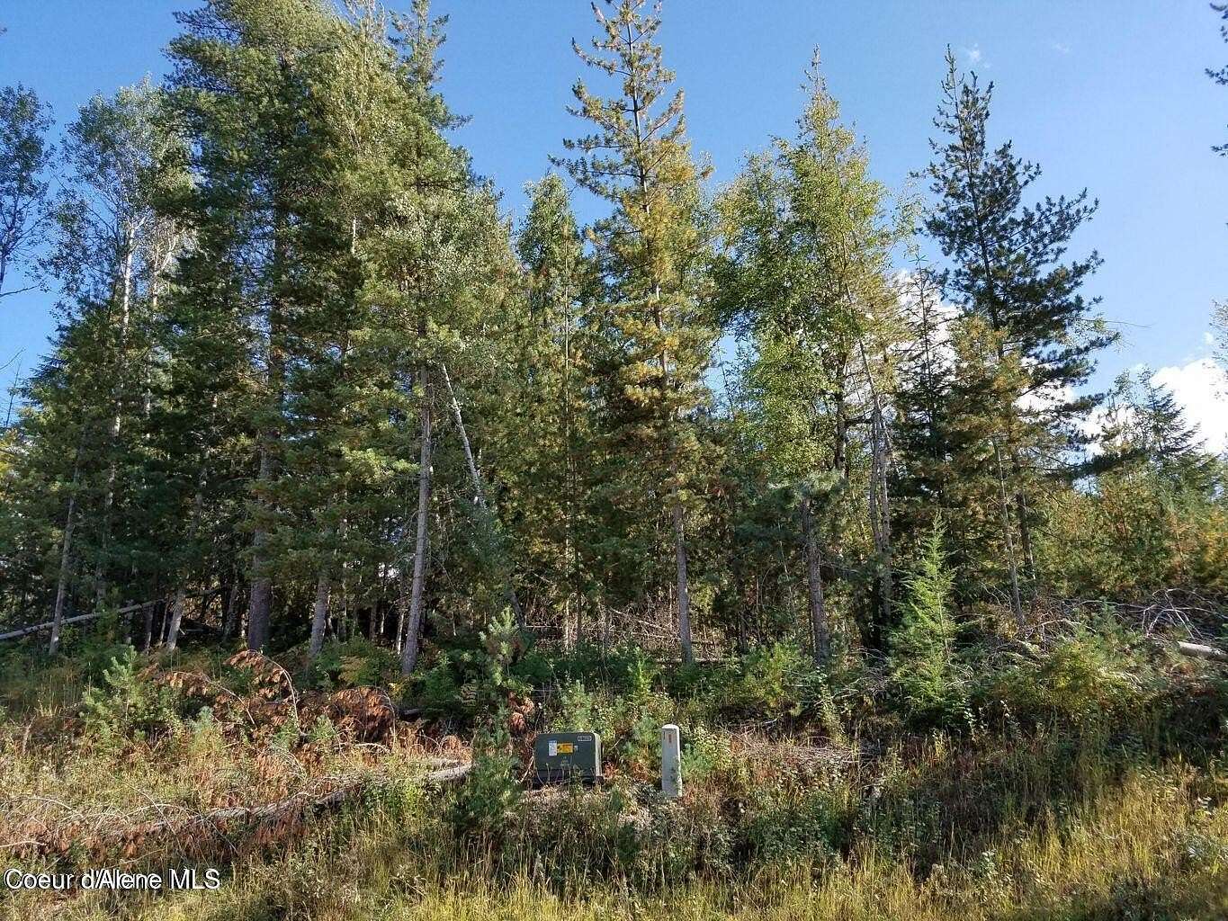0.81 Acres of Residential Land for Sale in Pinehurst, Idaho