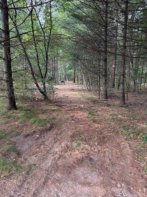2 Acres of Residential Land for Sale in Chetek, Wisconsin