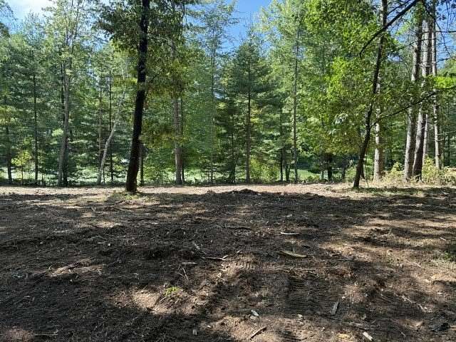 2 Acres of Residential Land for Sale in Chetek, Wisconsin