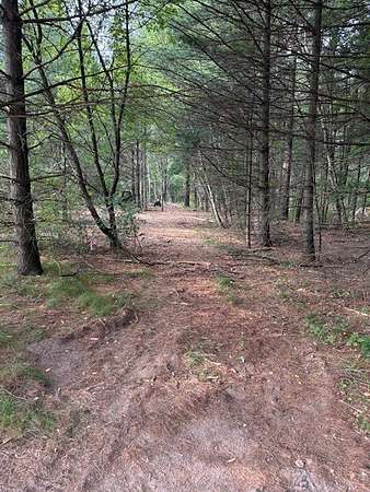 2 Acres of Residential Land for Sale in Chetek, Wisconsin