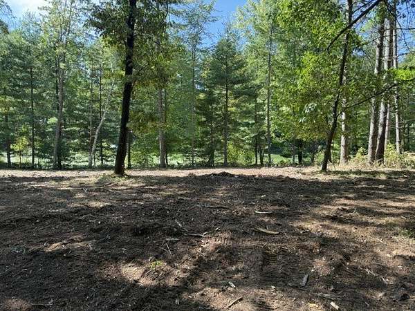 2 Acres of Residential Land for Sale in Chetek, Wisconsin