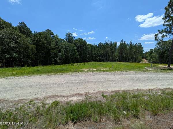 1.3 Acres of Residential Land for Sale in Eagle Springs, North Carolina
