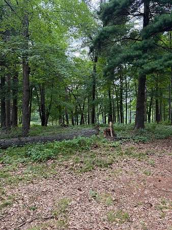 1.18 Acres of Residential Land for Sale in Chetek, Wisconsin