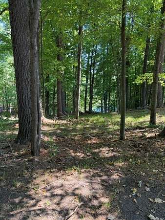 1.18 Acres of Residential Land for Sale in Chetek, Wisconsin