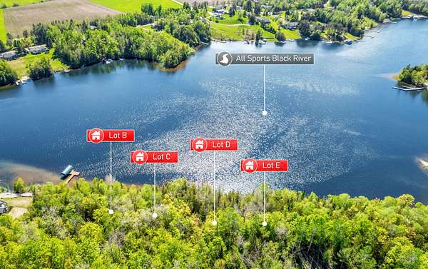 86.8 Acres of Recreational & Residential Land for Sale in Cheboygan, Michigan