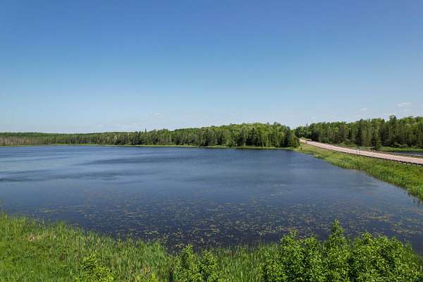 20 Acres of Recreational Land for Sale in Gulliver, Michigan