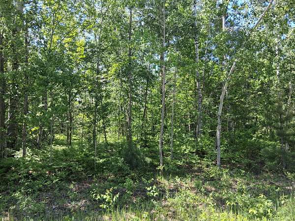Land for Sale in Mancelona, Michigan