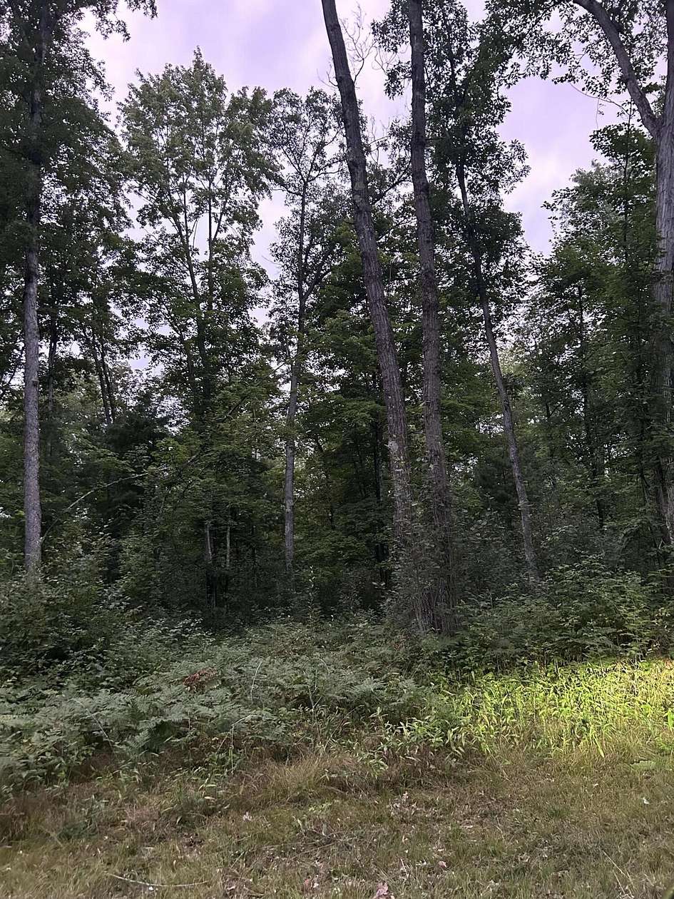 20 Acres of Recreational & Residential Land for Sale in Howard City, Michigan