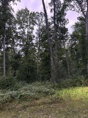 20 Acres of Recreational & Residential Land for Sale in Howard City, Michigan