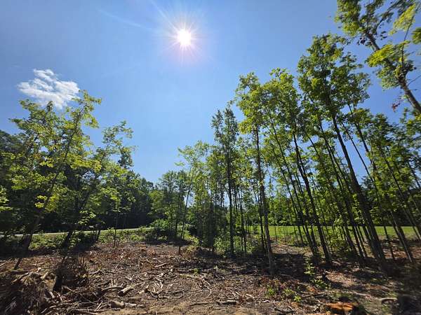 7 Acres of Land for Sale in Fairview, Michigan