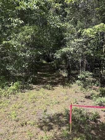 0.22 Acres of Residential Land for Sale in Adams Run, South Carolina