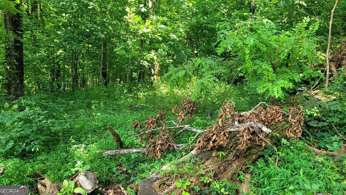 3.1 Acres of Residential Land for Sale in Jasper, Georgia