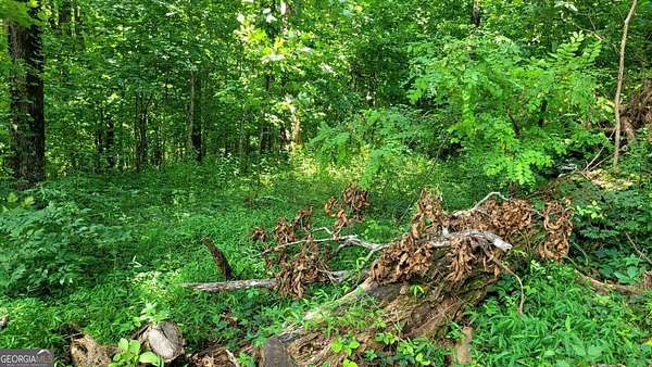 3.1 Acres of Residential Land for Sale in Jasper, Georgia