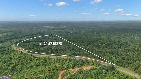 40.4 Acres of Land for Sale in Thomaston, Georgia