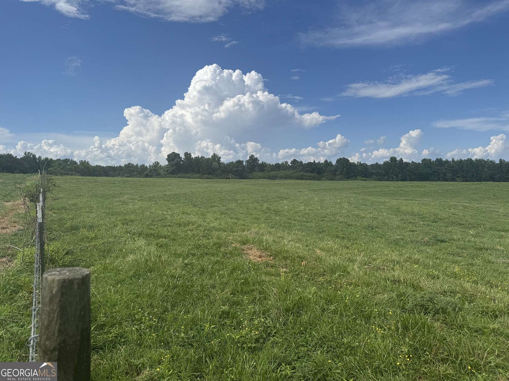 16.5 Acres of Recreational & Residential Land for Sale in Roopville, Georgia