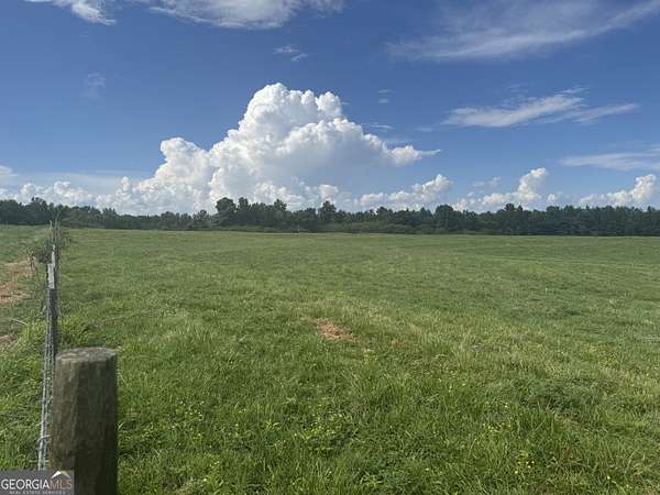 16.5 Acres of Recreational & Residential Land for Sale in Roopville, Georgia