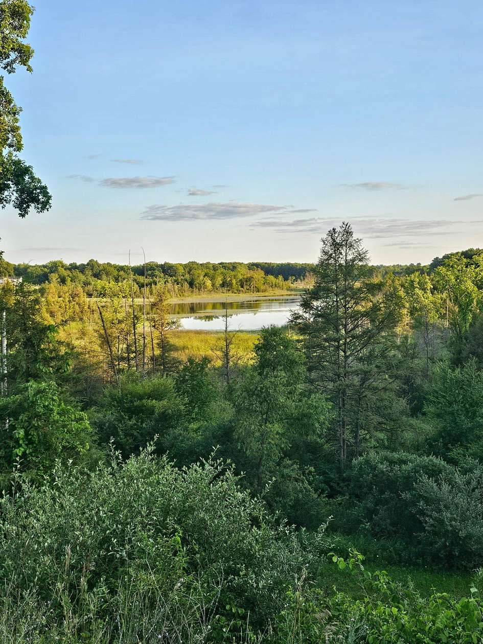 5.5 Acres of Residential Land for Sale in Grass Lake, Michigan