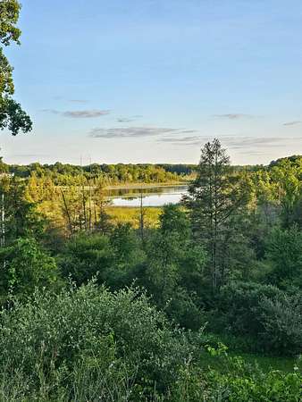 5.5 Acres of Residential Land for Sale in Grass Lake, Michigan