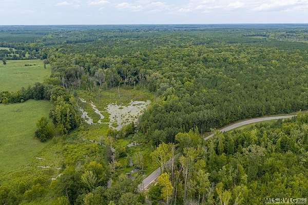136 Acres of Land for Sale in Gasburg, Virginia