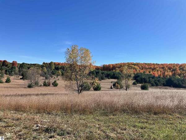 50 Acres of Recreational Land for Sale in Fife Lake, Michigan