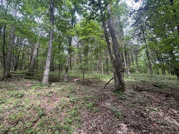 125 Acres of Recreational & Residential Land for Sale in Ashland, Missouri