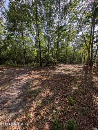 1.43 Acres of Residential Land for Sale in Eagle Springs, North Carolina